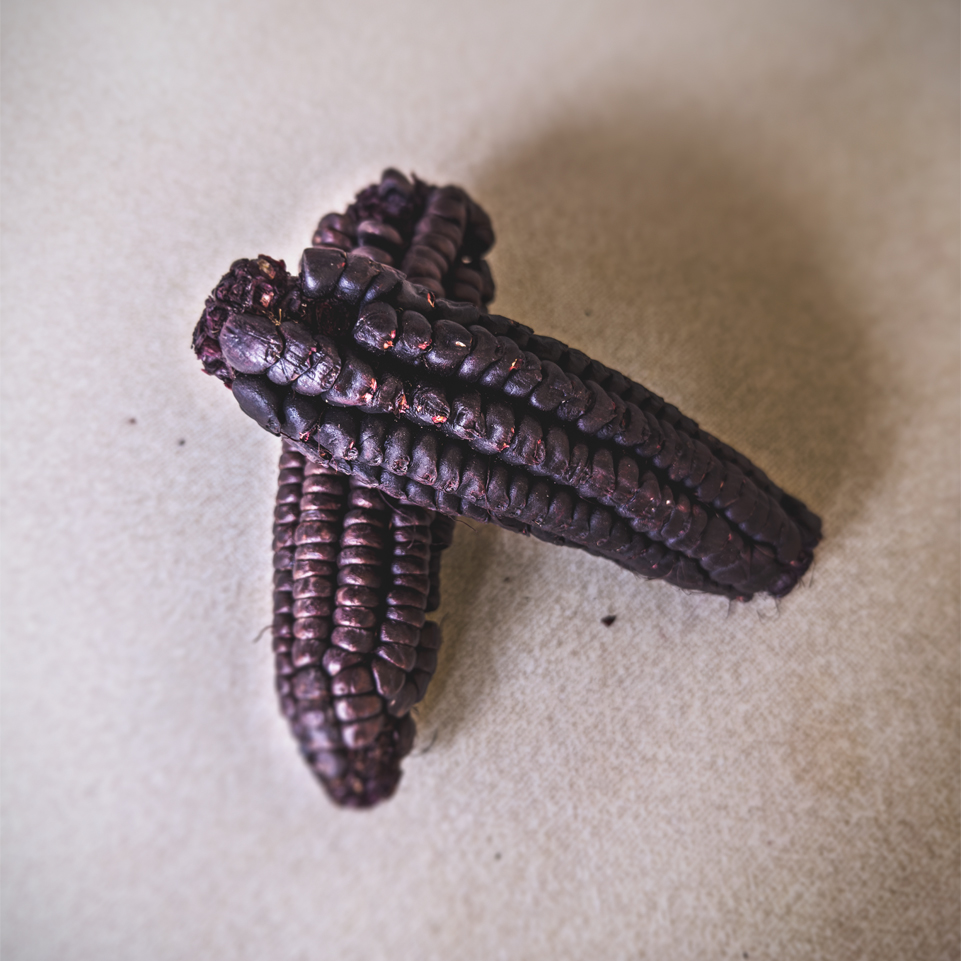 chicha morada purple corn dried purple corn